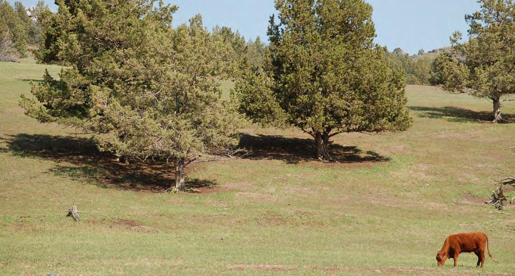 once an animal is listed, the landowner s flexibility in land management disappears. For this reason, he explains, we try to be as proactive as we can.