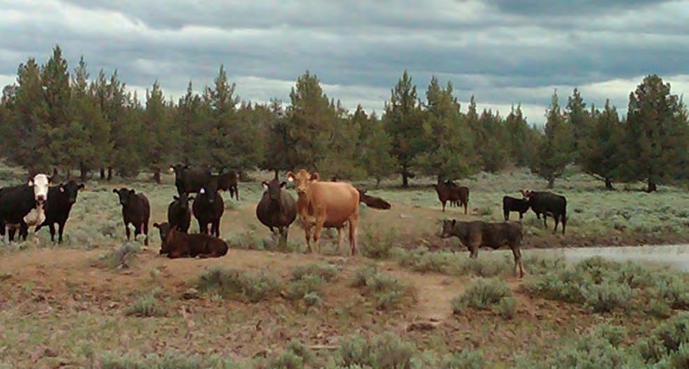 Those outside the ranching community need to understand that private landowners are cooperating with local, state and federal efforts and making financial sacrifices in doing so.