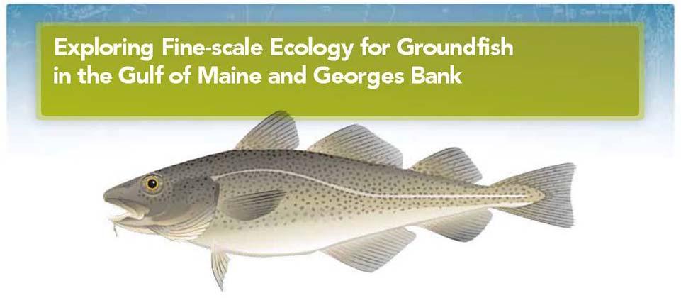 Proceedings from Exploring Fine-scale Ecology for Groundfish In the Gulf of Maine and Georges Bank April 2-3, 2009 York Harbor Inn York Harbor, Maine