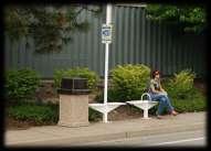An Eagle Scout project has installed a few of these seats, one near the Post Office, one at IGA,