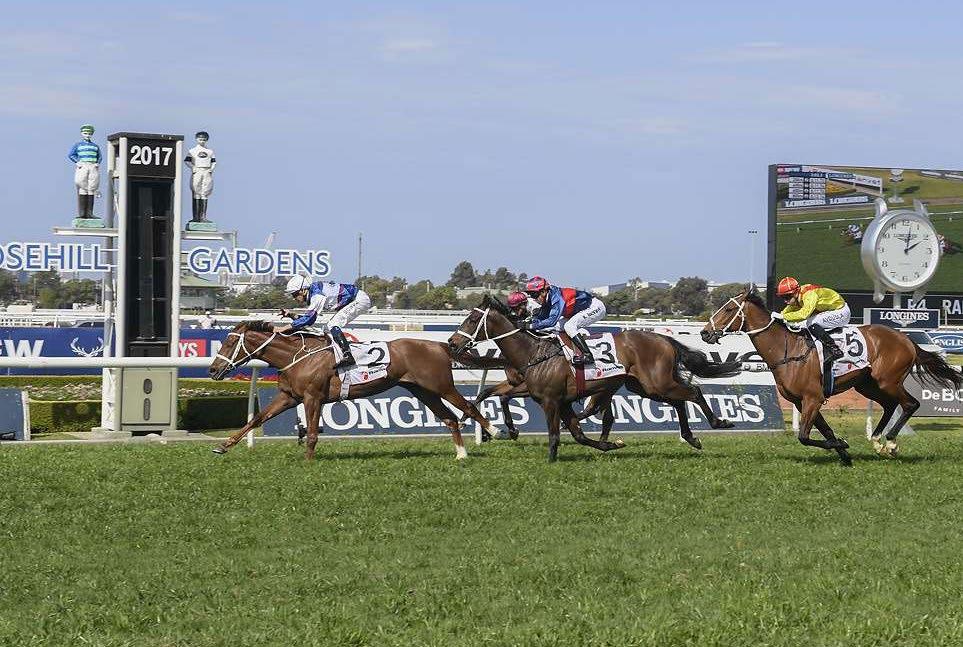 l CHRIS WALLER RACING - WINNERS THIS WEEK alward 5yo G Aqlaam - Sharedah by Pivotal This former French galloper relished the step back up to 2000m at Rosehill on Saturday.