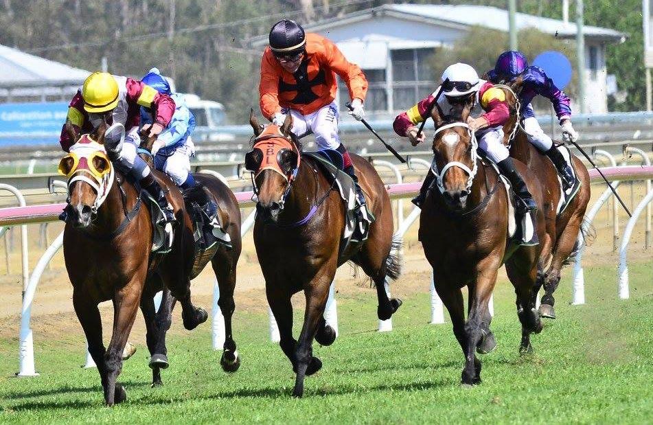 Waller runners to the fore in Queensland Chris Waller showed his team was ready to play a major role in Queensland when he had a two centre treble on Saturday.