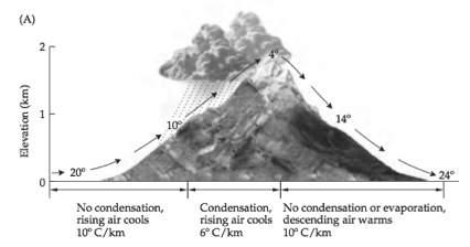 precipitation occurs at vapor saturation point Air descends leeward, now dry, and warms up