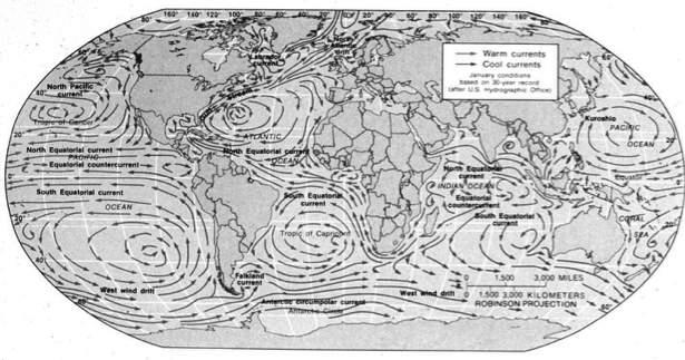 Ocean Currents cold currents flow from the high latitudes down along western continental margins California current (western N. Amer.
