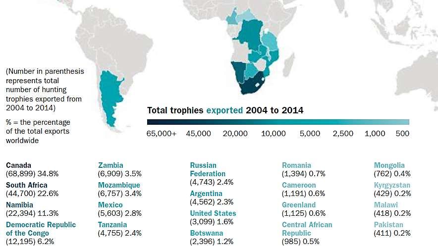 Who are top African exporters?