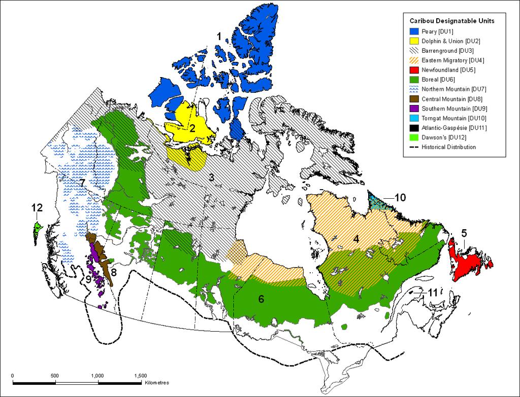 Status of Porcupine Caribou and Barren-ground Caribou in the NWT Scientific Saskatchewan, and (historically) Alberta. Figure 5.