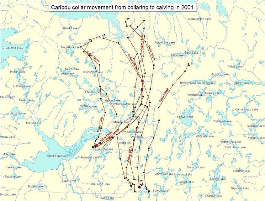 Distance from 60 N (km) Status of Porcupine Caribou and Barren-ground Caribou in the NWT Scientific 500 400 300 200 100 0-100 Figure 28.