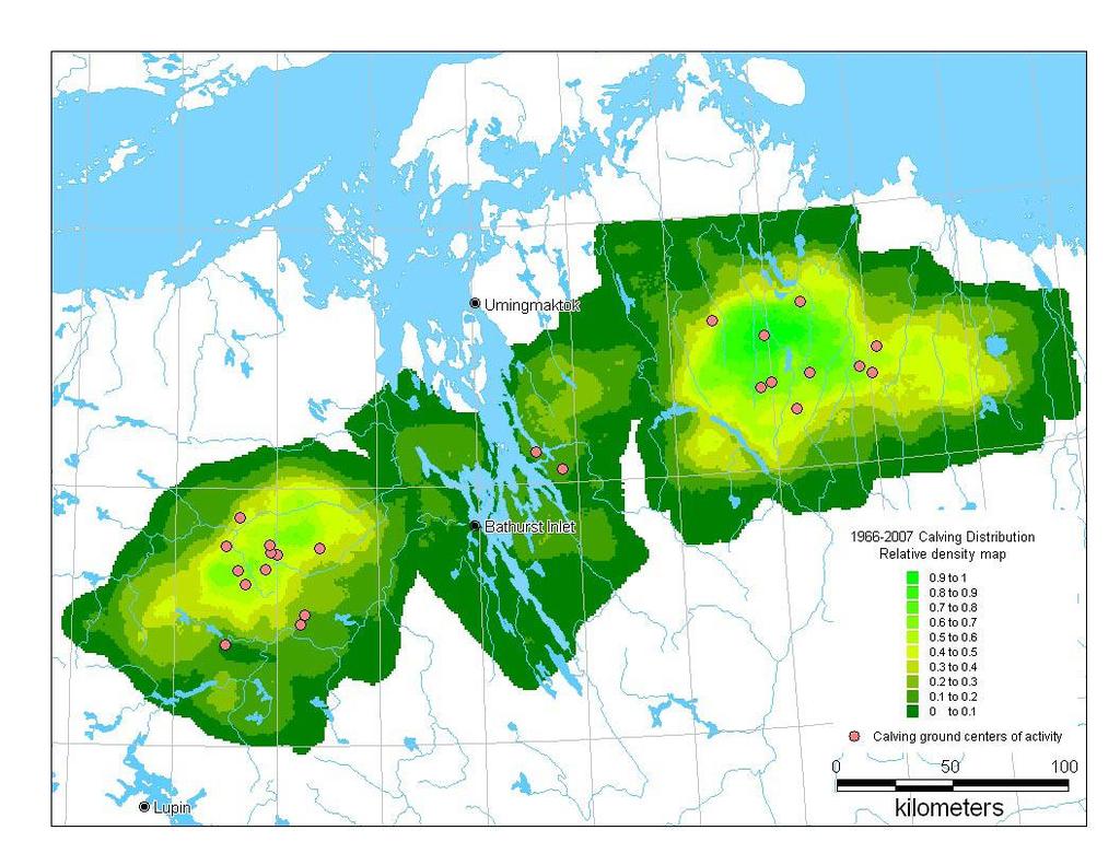 Status of Porcupine Caribou and Barren-ground Caribou in the NWT Scientific Changes in spatial fidelity have occurred (Fig. 31, below) for the Bathurst herd (Gunn et al. 2008).