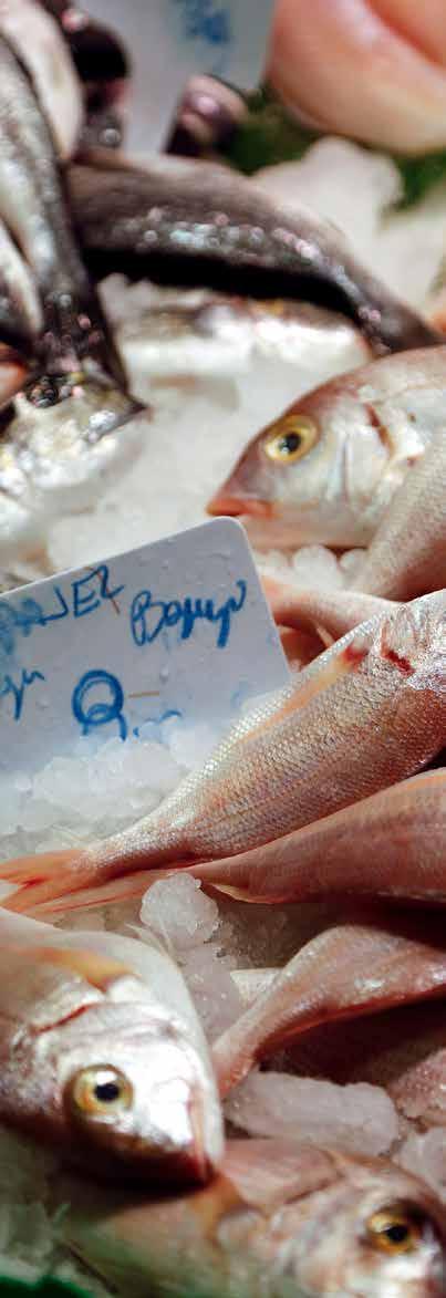 The broadly positive start to 217 for world seafood markets can be expected to continue into the second half of the year, although an increase in supply volumes for shrimp, salmon, fishmeal and fish