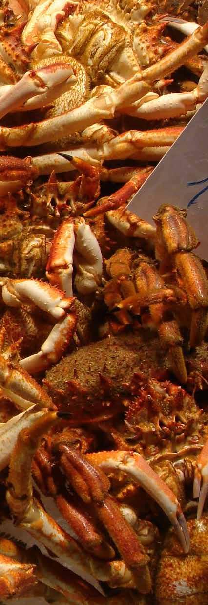 Prices Following the announcement of the cut in the Newfoundland and Labrador snow crab quotas, prices for snow crab have risen.