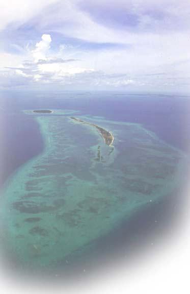 Danajon Bank Double Barrier Reef: A Unique Resource in Peril The sustainable use and management of Danajon Banks s coastal and fisheries resources is critical not only to its coastal communities but
