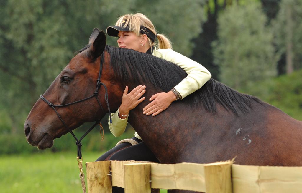 In this Mastery Manual we are talking about the FIRST thing: Rapport, relationship FIRST. Establishing rapport is the secret of collecting your horse s heart and putting the relationship FIRST.