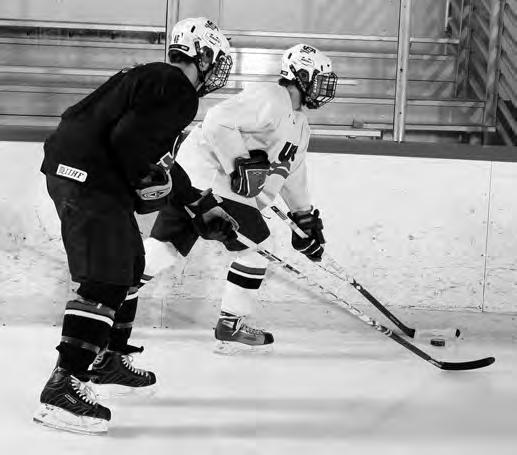 STICK CHECKING: EXTENDED STICKHANDLING SKILLS Have you ever wondered why some players frequently end up with the puck?