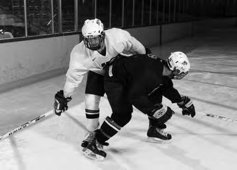 Hip Check also reduce the number of penalties, and increase the safety for both your players and the opponent.