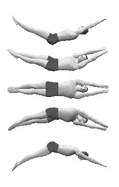 6 the wobble in the piked position becomes excessive and the twist is much harder to control (Yeadon, 1993b). Figure 7.