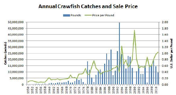 6 Figure 1: Annual commercial catches of wild crawfish in Louisiana and reported annual sale price Importance to the US/North American market Louisiana crayfish comprises 95% of the domestic crayfish