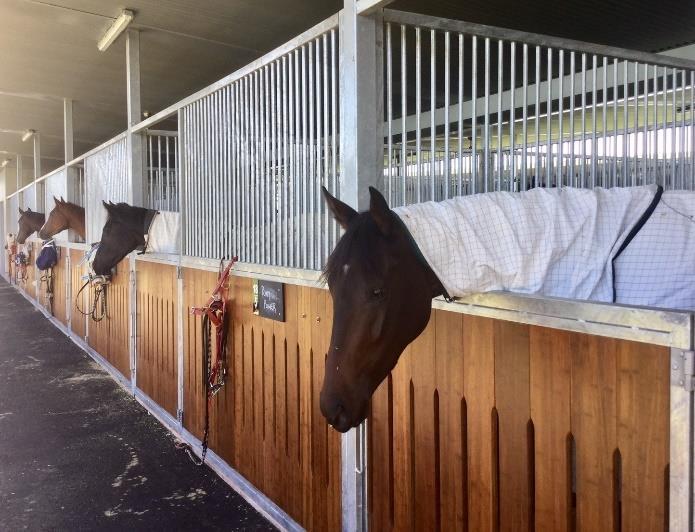 Welcome to our May/June edition of the Munce Racing Newsletter WE HAVE MOVED INTO THE EAGLE FARM COMPLEX Well it has finally happened.