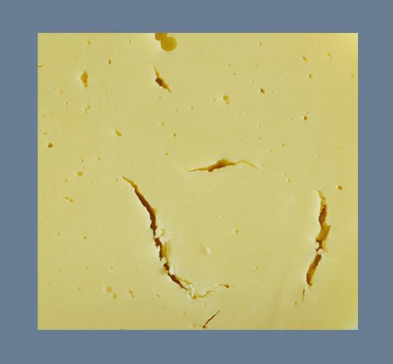 While Clostridia contamination in eyed cheese is easily recognized, the presence of non-germinated spores of Clostridia, Bacillus, Geobacillus, Anoxybacillus and Paenibacillus in cheese may not be of