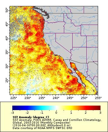 The upwelling index (from offshore Solana Beach) indicated above-average upwelling during six months compared to the average since 1946.