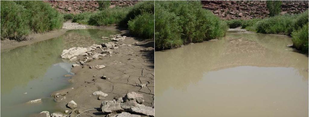 Figure 9a and 9b. Left photo (9a) at 12 cfs out of McPhee Dam and without flow (standing water only) in the vicinity of Slickrock.