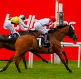 landing the iconic contest for the first time. 3 DIAMOND JUBILEE STAKES A tremendous tussle in which five horses flashed past the line almost as one.
