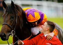 However, he only ran once more in the Series - when below-par QIPCO British Champions Long Distance Cup at Ascot on Champions Day.