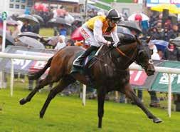 He again appeals as the one to beat in the Gold Cup, despite a comeback defeat at the hands of the Jessica Harrington-trained Torcedor in the Coolmore Vintage Crop Stakes at Naas, and it will be a