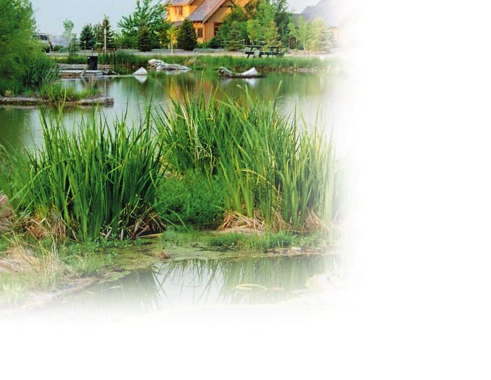 Cover Feature Floating Islands New Dimensions in Pond Management by Bob Lusk Picture this a beautiful island in your pond, covered with blooming flowers, decorative plants, maybe even some vegetables.