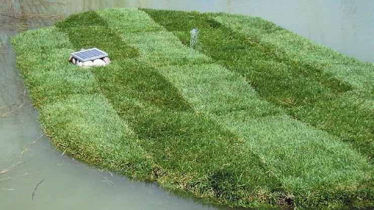 Imagine looking on your pond and seeing turfgrass growing in the middle. One enterprising pondmeister bought an island, sodded it, and drives golf balls toward it. Why? He learned many lessons.