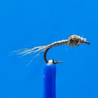FLY TIERS EXCHANGE by Don Wallace Photo s by James Simon Trevor Segelke tied a WD 40 on a size 20 hook using gray 14 thread. The tail is Coque de Leon. The body is gray thread.