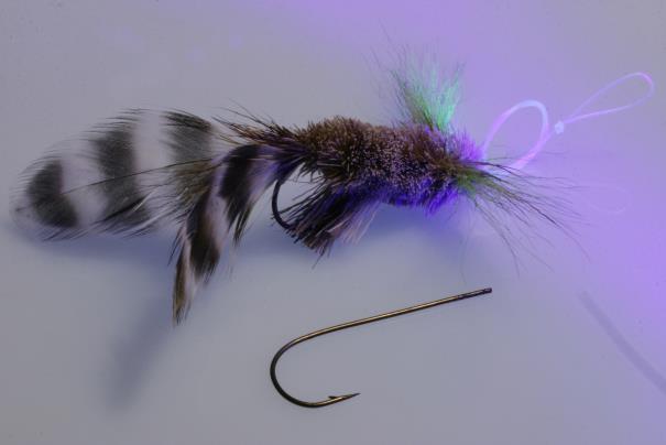 FLY OF THE MONTH continued Step 7: Two wraps are usually sufficient for a good collar. Tie the collar down and trim off the remaining stem.