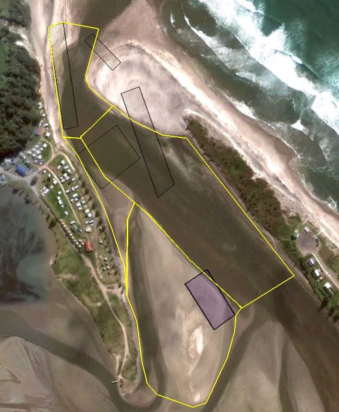 4.1.3 Little Waihi Estuary Beach description The sample extent for Little Waihi Estuary has always been near its mouth approximately adjacent to the campervan park (left side of Figure 6).