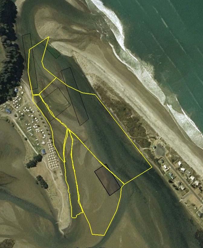 APPENDIX 2: Satellite images of Waihi Harbour in 2003. Figure A2.1: A satellite image of Little Waihi Estuary in 2003. The dark lines indicate the strata used to sample the area in 2003.