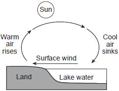 19. Which cross section best represents how surface winds form by