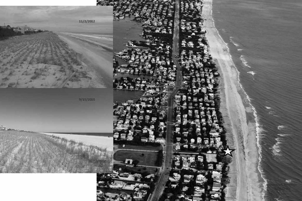 A efforts were completed in August 2013 and were still evident in the September 2013 and November 2014 surveys that showed no change to the engineered dune since the emergency construction (Figure 7).