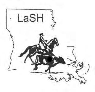 2018 Rulebook Louisiana Stock Horse Association, INC LaSH was started in 2006 by fellow horsemen to offer affordable, fun, and standardized ranch horse riding clinics and competitions.