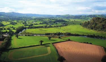 General Remarks and Stipulations SUBSIDY AND ENVIRONMENTAL SCHEMES Although the agricultural land would be eligible for the Welsh Government s Basic ayment Scheme, as the land has been let, the