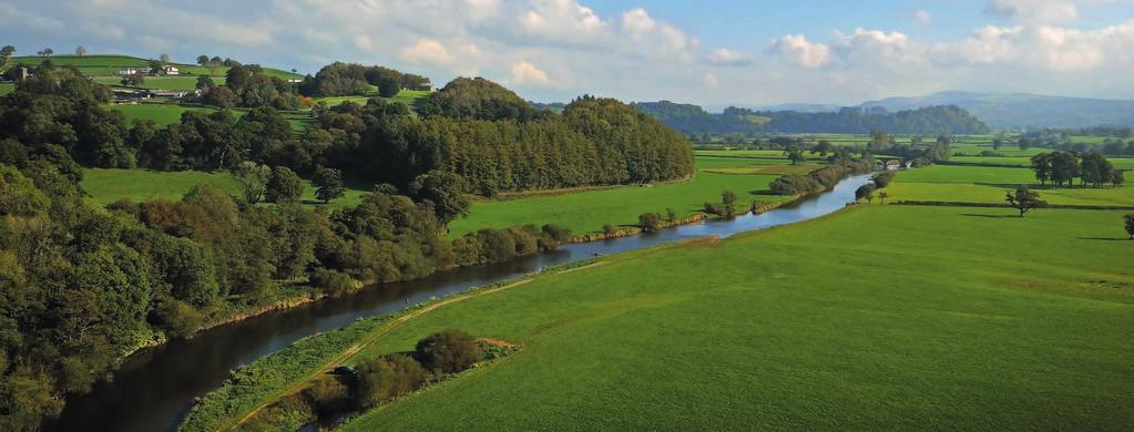 Situation THE GOLDEN GROVE ESTATE AND FISHERY The Estate starts at Llandeilo and runs downstream along the banks of the River Towy to the Village of Llanarthne.