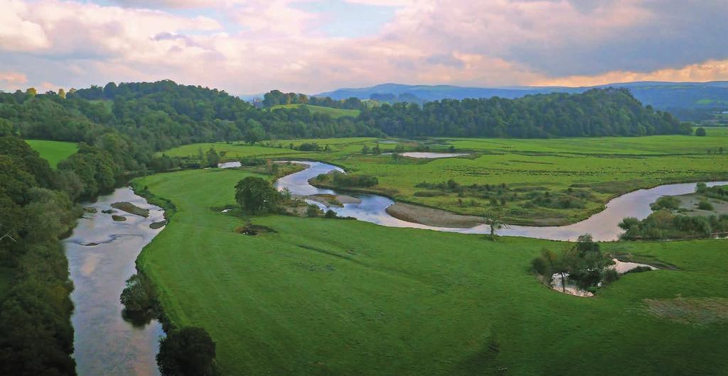 Lot 1 6.2 miles (10 km) of salmon and sea-trout fishing comprising three contiguous beats, all double bank. Fishing rights on Dinefwr Lake.