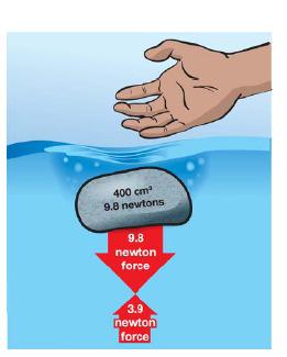 5.2 Sinking and Buoyant Force When the rock is dropped into the water, the water s buoyant force is not enough to