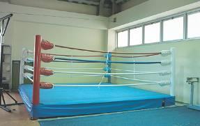 International Olympic Committee (IOC) as being responsible for boxing competition.