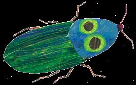 to make the click beetle flip on the