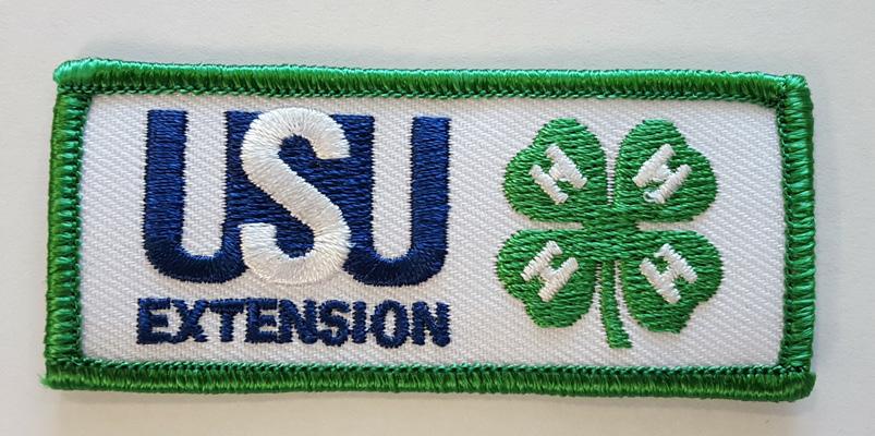 GENERAL APPENDIX COMBINED TRAINING ROTATING CLASSES HUNTER SEAT EQUITATION PRESENTATION & FITTING GENERAL ATTIRE 1. A 4-H patch - must be worn on the upper left sleeve.