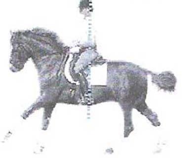 c) given permission by the 4-H volunteer chairperson of the county horse program. A different horse may be used for English Performance than used for Western Performance. rail.