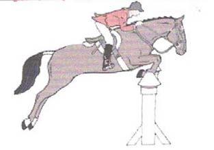 When jumping, the rider should rise off the horses back and push their hands up the neck releasing pressure off the horses mouth and back (known as 2 point, see diagram).