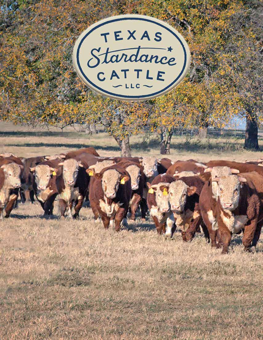 Offering Horn and Poll Hereford Bulls Jordan Cattle Auction Bull Consignment Sale Sale starts at 10 a.m. (CST) February 8, 2018 1310 W.