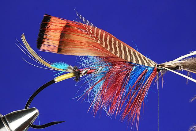 Next secure in two tippet feathers placed back to back.