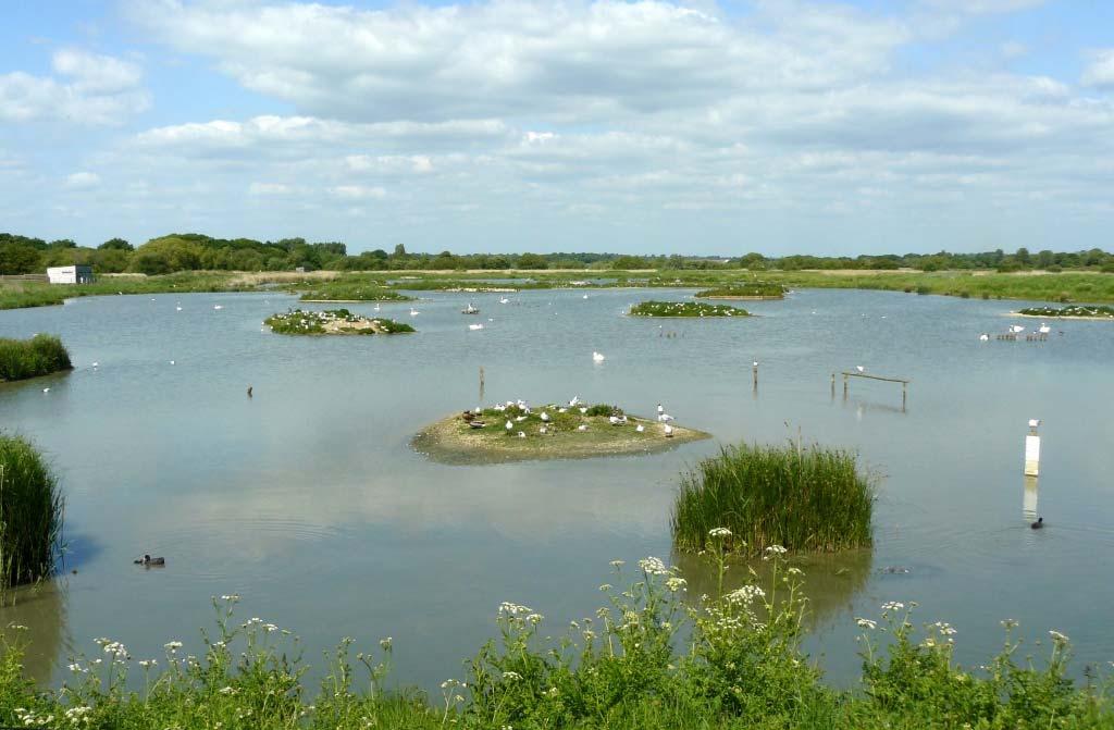 National Nature Reserves In 2012 Richard Benyon approved Natural England plans to dedicate its freehold NNR estate under section 16 of CROW.