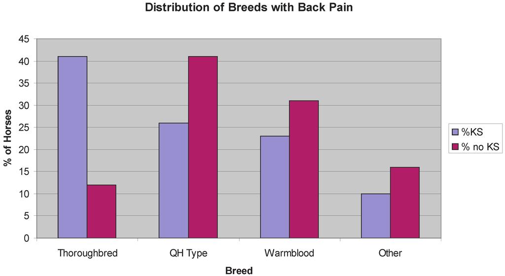 Fig. 2. Chart showing the varied breed distribution between back-sore horses with and without kissing spine.