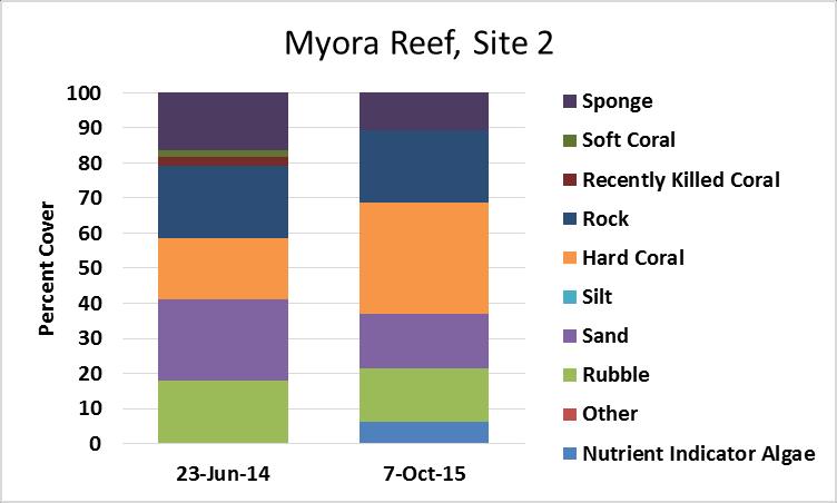This site had similar hard coral cover (32%) when compared to the nearby Reef Check Australia survey location Myora Reef, Site 1 (31%).
